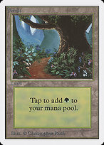 Forest (B)