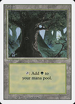 Forest (C)