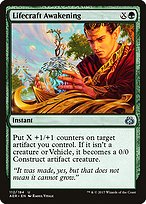 Lifecraft Awakening