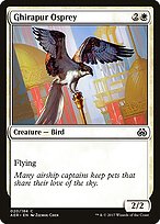 Ghirapur Osprey