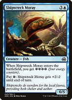Shipwreck Moray