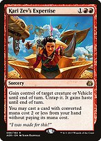 Kari Zev's Expertise