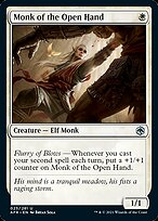 Monk of the Open Hand