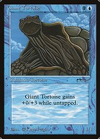 Giant Tortoise (Dark)