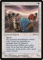 Camel (Dark)