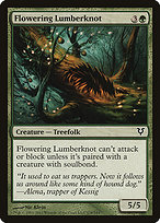 Flowering Lumberknot