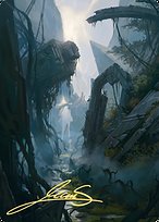 Swamp (14)