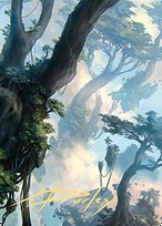 Forest (19)