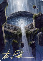 Morphic Pool