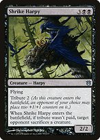 Shrike Harpy