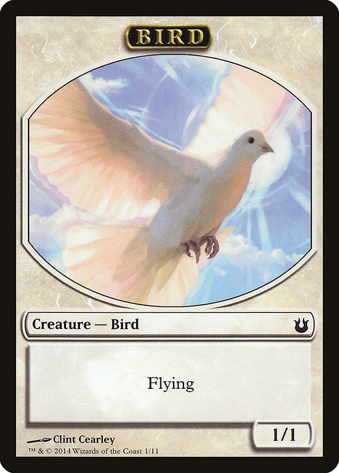Bird (1)