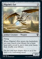 Pilgrim's Eye