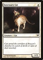Sanctuary Cat