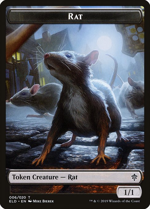 Rat