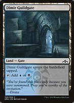 Dimir Guildgate (246)