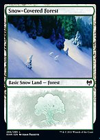 Snow-Covered Forest (284)