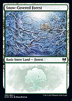 Snow-Covered Forest (285)