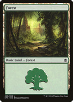 Forest (269)