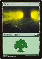 Forest (268)