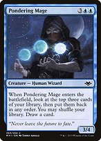 Pondering Mage