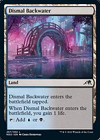 Dismal Backwater