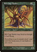 Rib Cage Spider