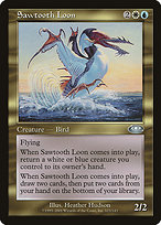 Sawtooth Loon