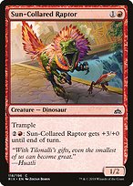Sun-Collared Raptor