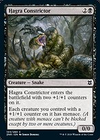 Hagra Constrictor